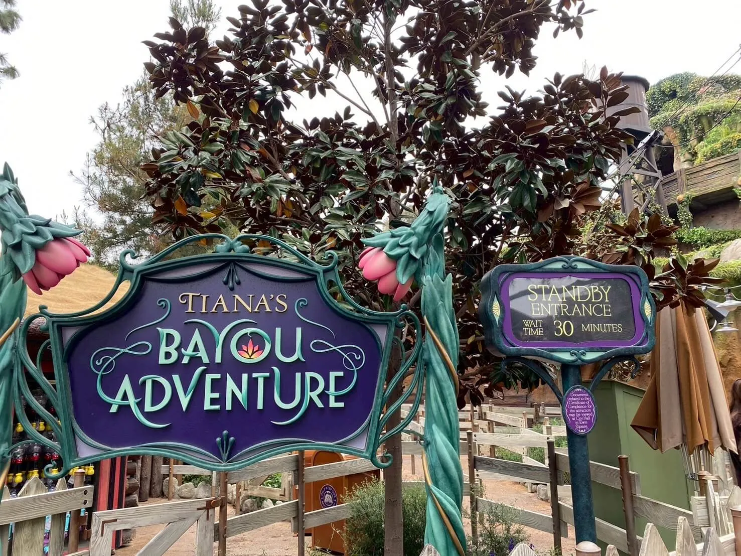 【ディズニーランド・パーク】マルチパス対象アトラクション